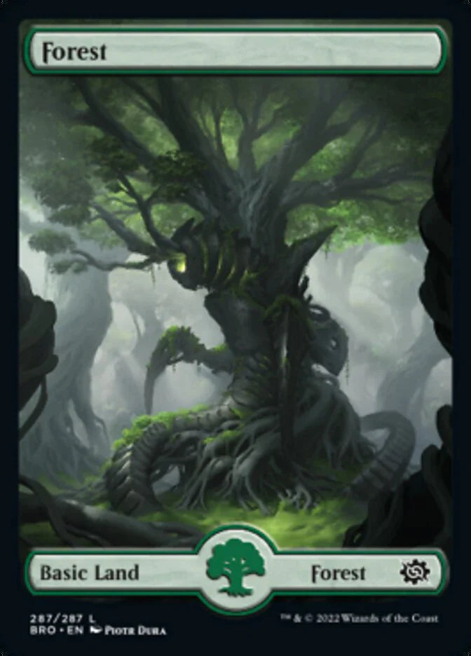 Forest - The Brothers' War BRO - NM - 287 L (Full Art)