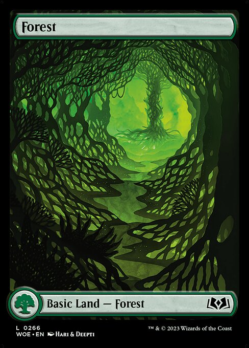 Forest - Wilds of Eldraine WOE - NM - 0266 L (Full Art)