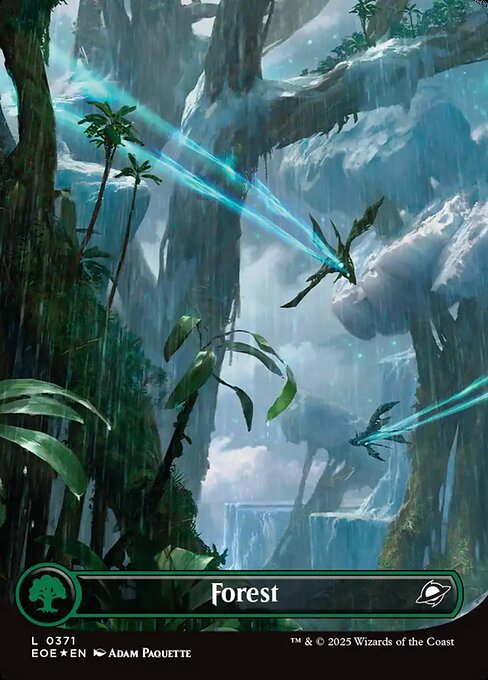 Forest - Edge of Eternities EOE - NM - 0371 C (Borderless Foil)