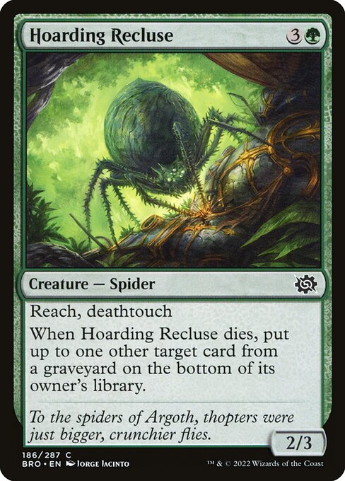 Hoarding Recluse - The Brothers' War BRO - NM - 186 C