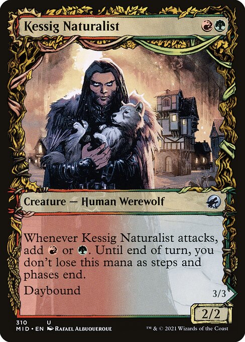 Kessig Naturalist // Lord of the Ulvenwald - Innistrad: Midnight Hunt MID - NM - 310 U (Showcase)