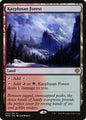 Karplusan Forest - Dominaria United DMU - NM - 250 R