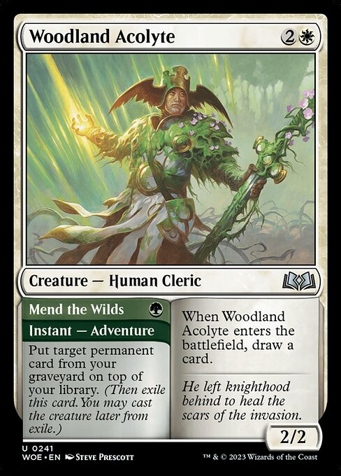 Woodland Acolyte // Mend the Wilds - Wilds of Eldraine WOE - NM - 0241 U