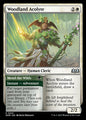 Woodland Acolyte // Mend the Wilds - Wilds of Eldraine WOE - NM - 0241 U