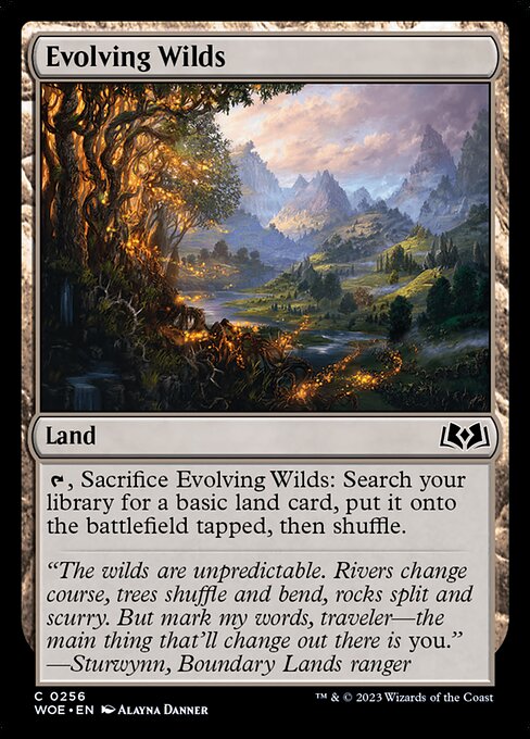 Evolving Wilds - Wilds of Eldraine WOE - NM - 0256 C