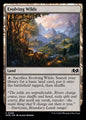 Evolving Wilds - Wilds of Eldraine WOE - NM - 0256 C